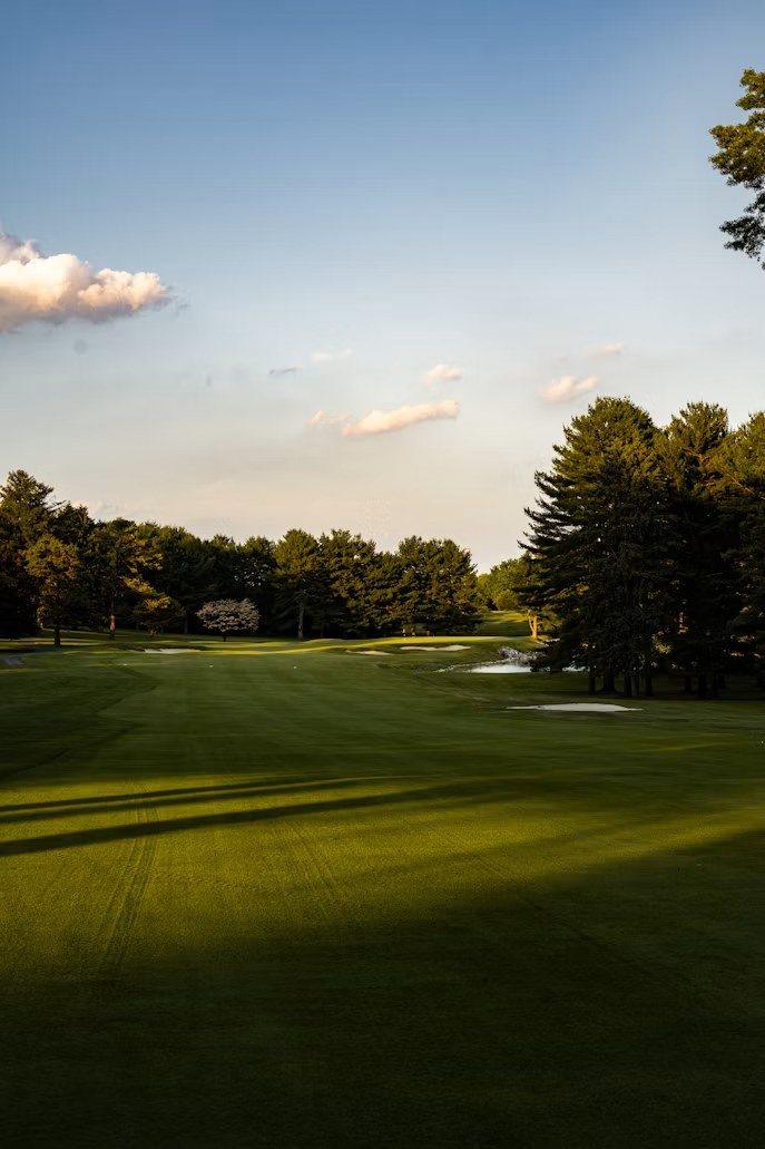 A quiet fairway lined with pines in late afternoon light